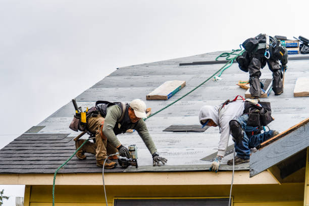 Professional Gutter Installation technician working in North Fork, ID
